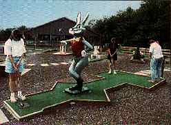 Fun park, Lake Wallenpaupack, pocono, poconos, pocono mountains. Go Karts, bumper boats, miniature golf, batting cages, golf driving range, video arcade.