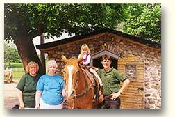 horse-O.jpg (12146 bytes)