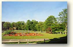land1-O.jpg (8658 bytes)