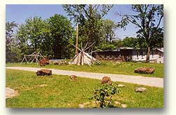 land2-O.jpg (11655 bytes)